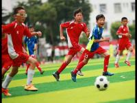 重庆铜梁龙VS北京国安直播_重庆铜梁龙VS北京国安直播免费观看_重庆铜梁龙VS北京国安直播无插件观看